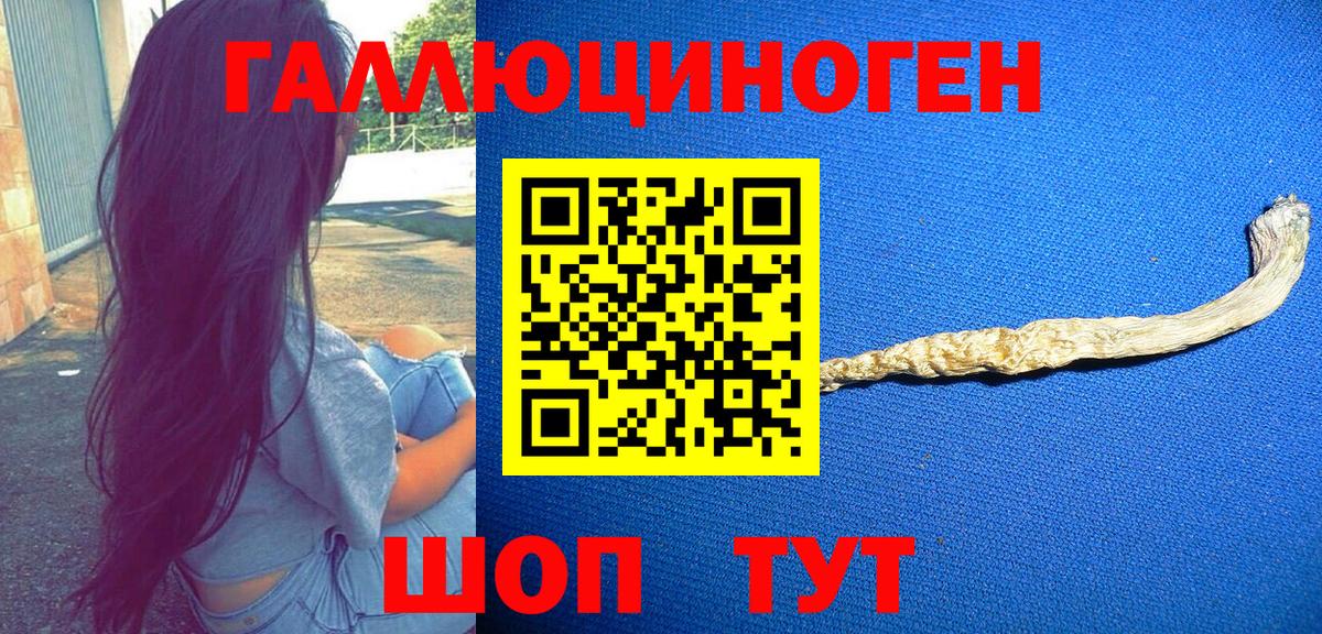 Псилоцибиновые грибы мицелий Ковров