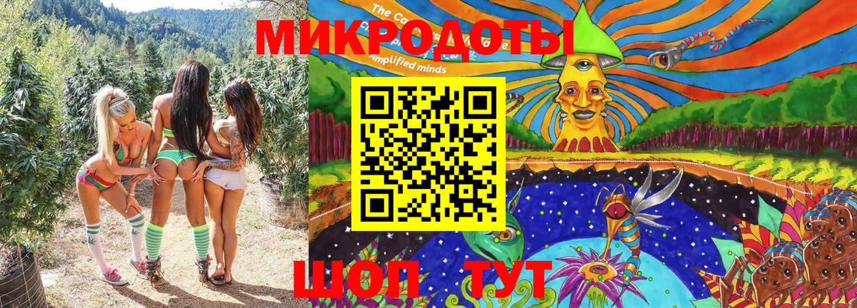 Ковров  Псилоцибиновые грибы Psilocybe  Вход с VPN 